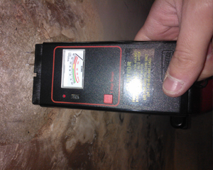 Timber and damp meter