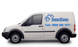 van sure cure dry rot treatment