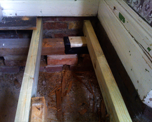 woodworm replaced timber